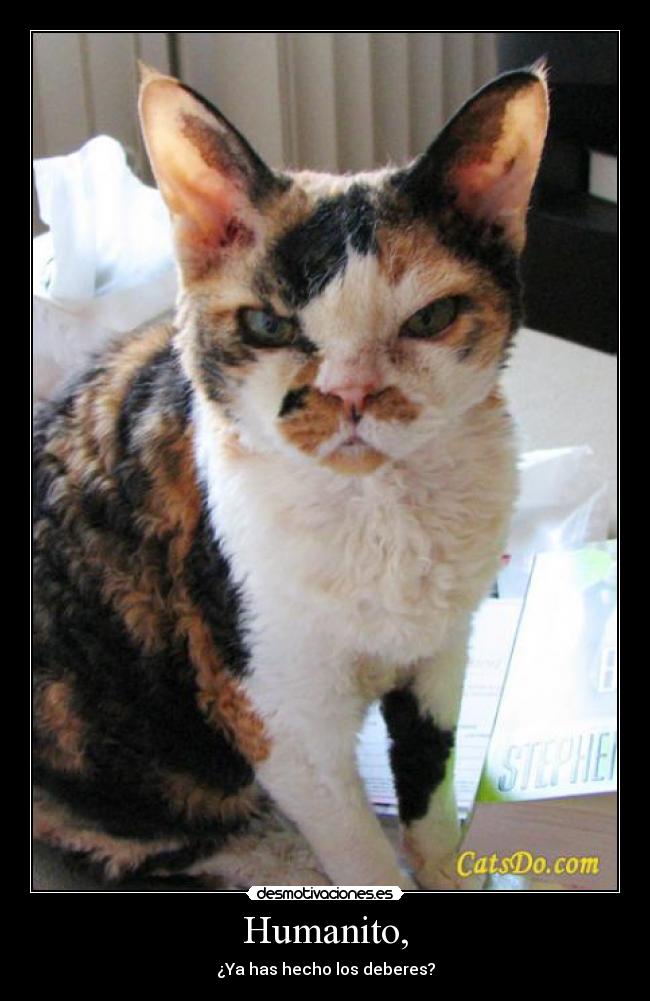 Humanito, - ¿Ya has hecho los deberes?