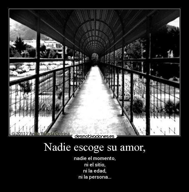 Nadie escoge su amor, - nadie el momento,
ni el sitio,
ni la edad,
ni la persona...