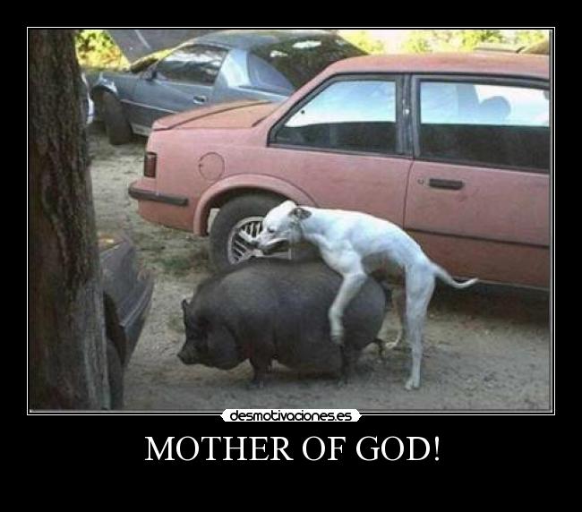 carteles xxx desmotivaciones