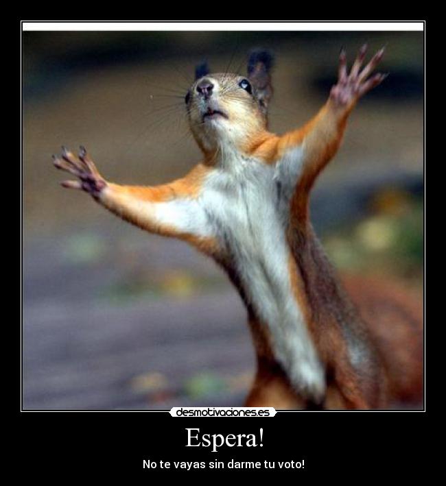 Espera! - No te vayas sin darme tu voto!