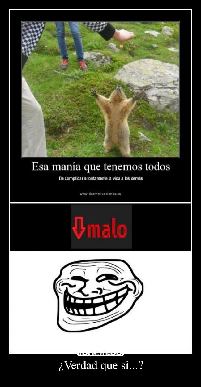 ¿Verdad que si...? -