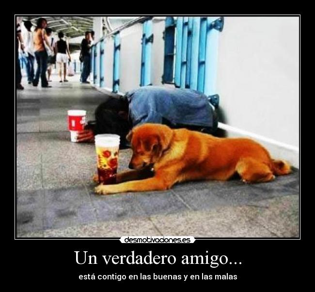 Un verdadero amigo... - está contigo en las buenas y en las malas