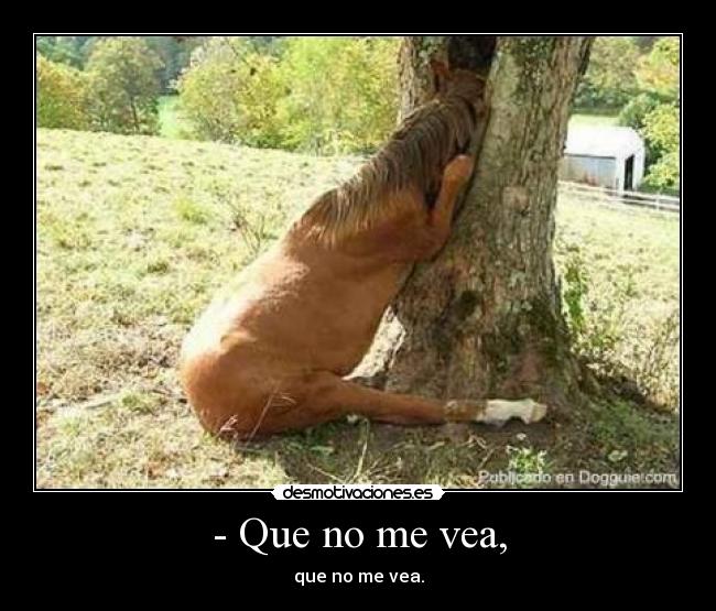 - Que no me vea, - 