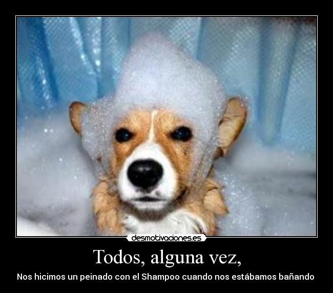 Todos, alguna vez, - Nos hicimos un peinado con el Shampoo cuando nos estábamos bañando