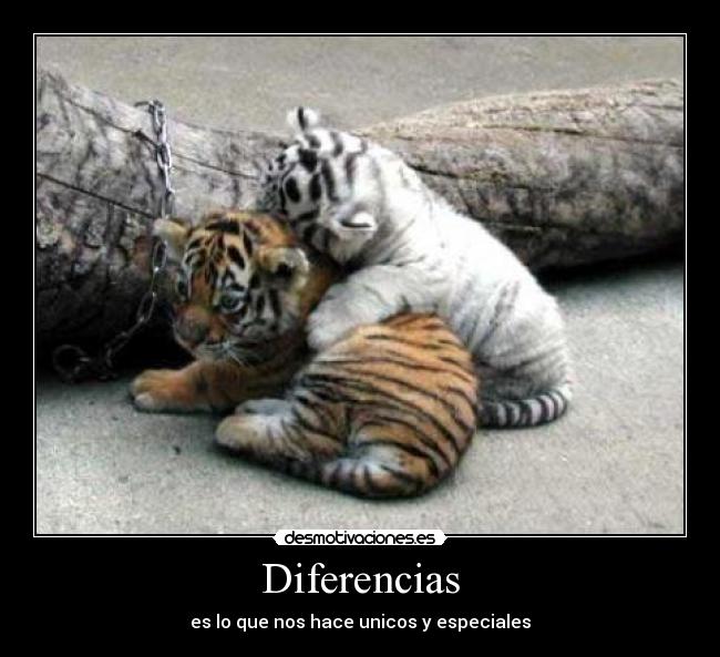 Diferencias -