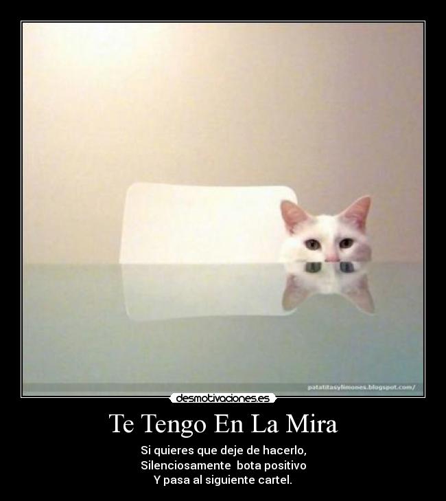 Te Tengo En La Mira - Si quieres que deje de hacerlo,
Silenciosamente bota positivo
Y pasa al siguiente cartel.