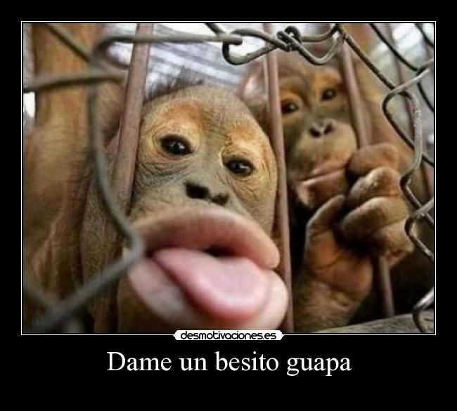 Dame un besito guapa -
