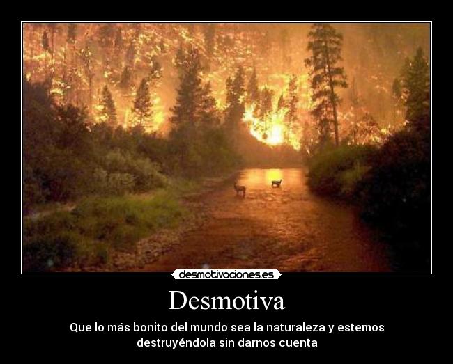 Desmotiva - 