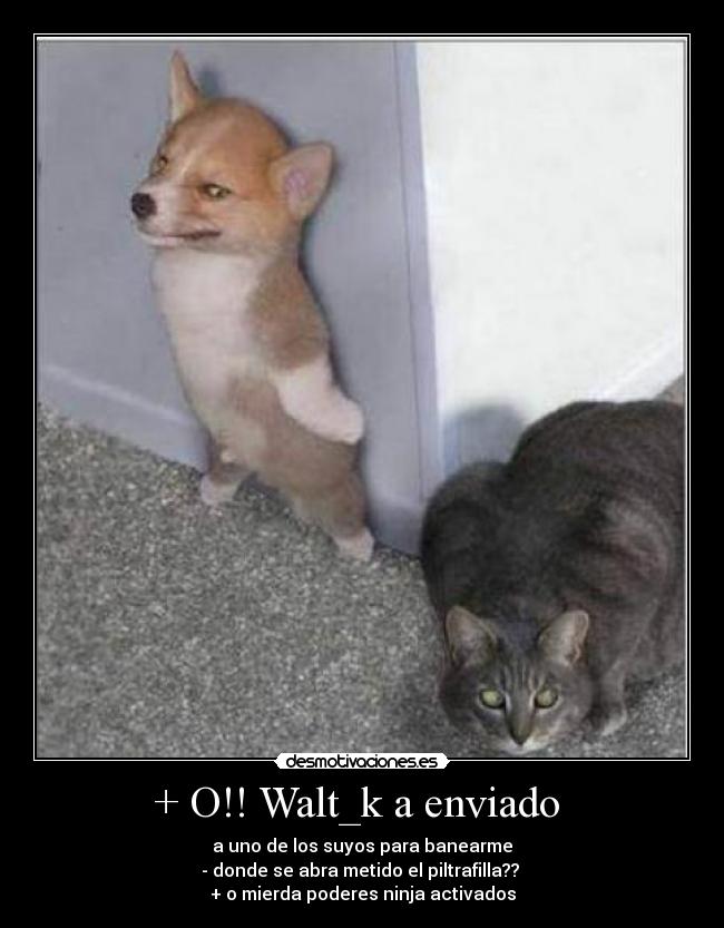 + O!! Walt_k a enviado - a uno de los suyos para banearme
- donde se abra metido el piltrafilla??
+ o mierda poderes ninja activados