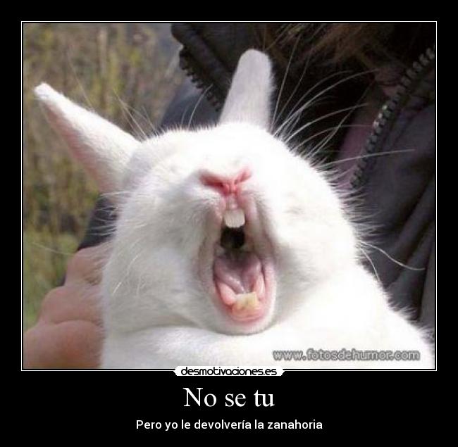 No se tu -