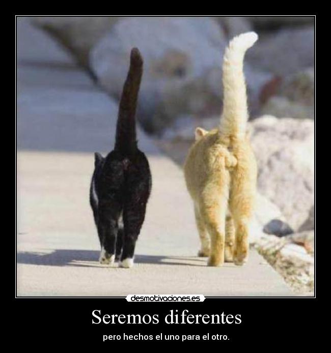 Seremos diferentes - pero hechos el uno para el otro.