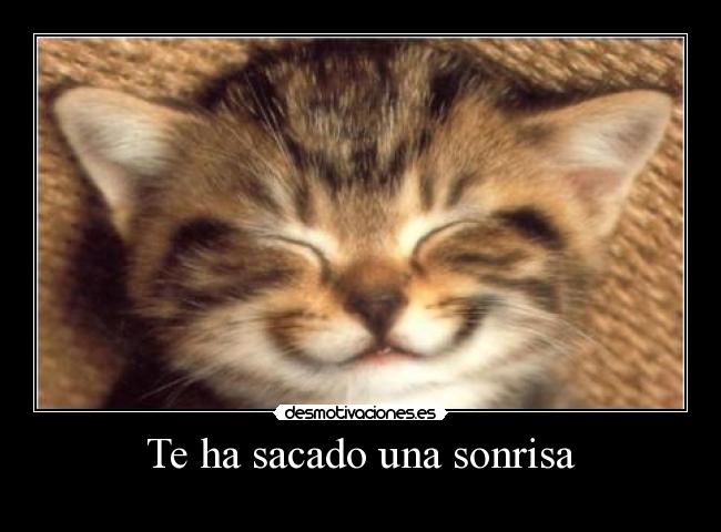 Te ha sacado una sonrisa -