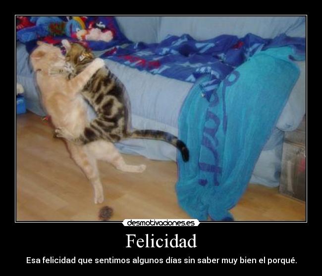 Felicidad - 