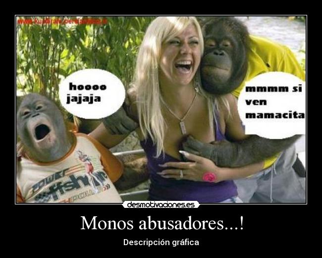 Monos abusadores...! -