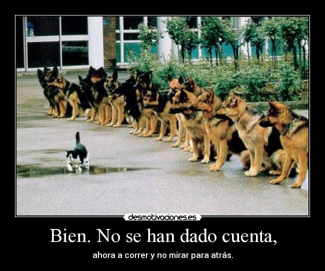 Bien. No se han dado cuenta, -