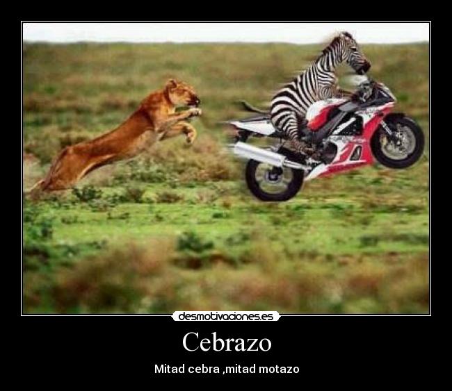 carteles original desmotivaciones