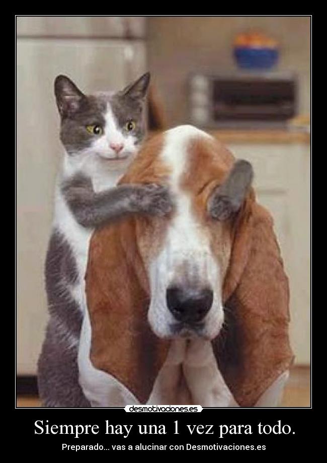 Siempre hay una 1 vez para todo. -