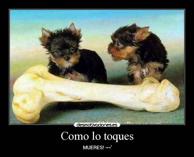 Como lo toques - MUERES! ¬¬