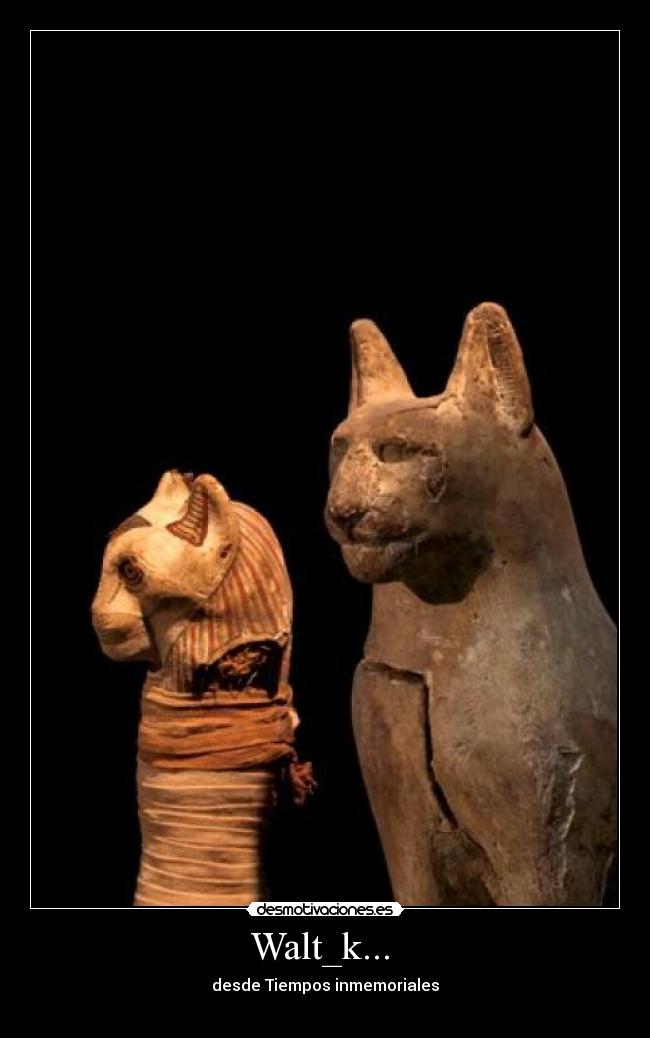Walt_k...  - desde Tiempos inmemoriales
