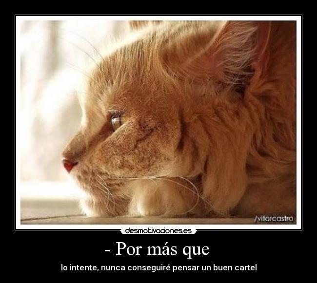 - Por más que - lo intente, nunca conseguiré pensar un buen cartel