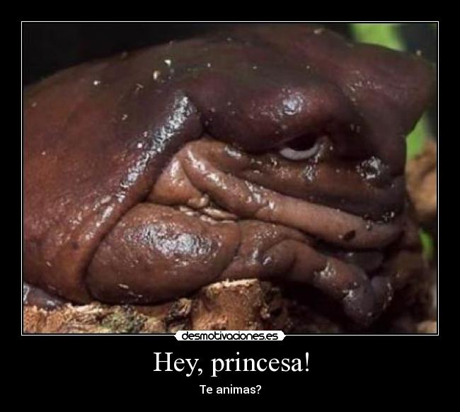 Hey, princesa! - Te animas?