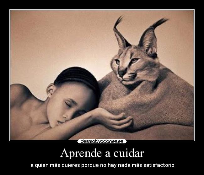 carteles hay calor nido busca fuera marido desmotivaciones