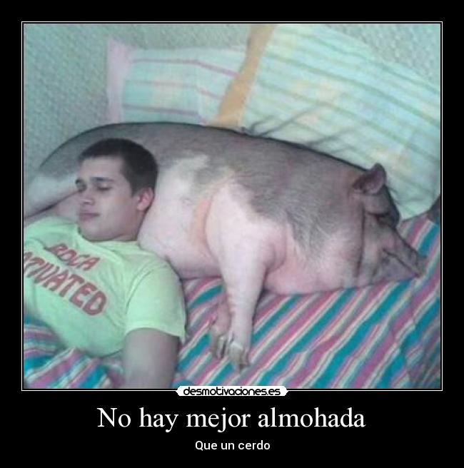 carteles cerdo desmotivaciones