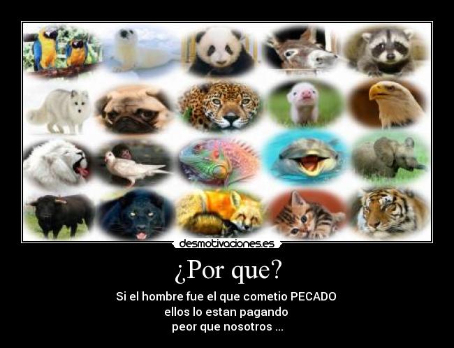 ¿Por que? - 
