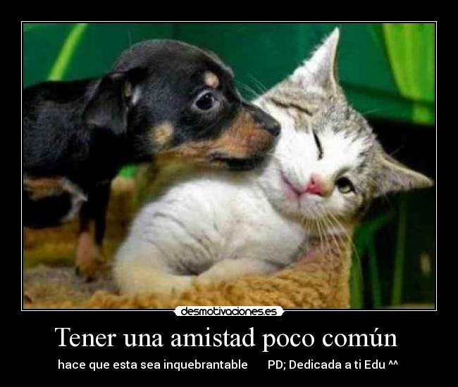Tener una amistad poco común - hace que esta sea inquebrantable PD; Dedicada a ti Edu ^^