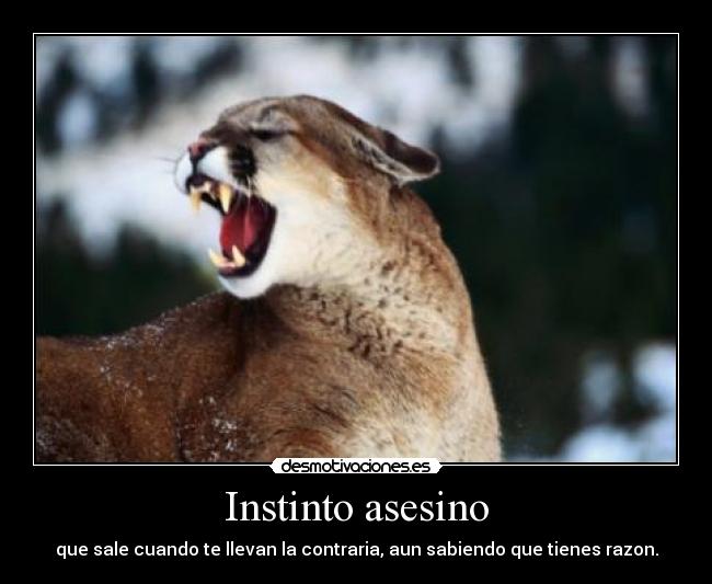 Instinto asesino - que sale cuando te llevan la contraria, aun sabiendo que tienes razon.