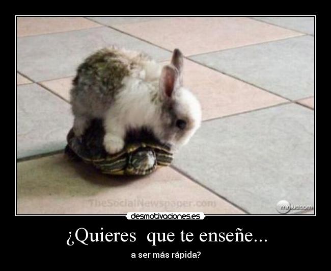 ¿Quieres  que te enseñe... - a ser más rápida?