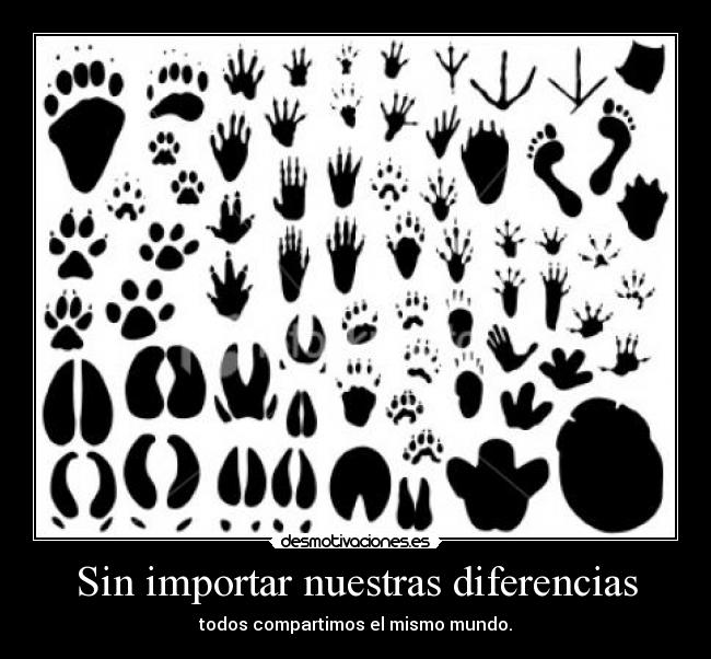 Sin importar nuestras diferencias -