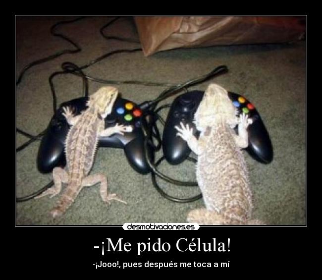 -¡Me pido Célula! - 