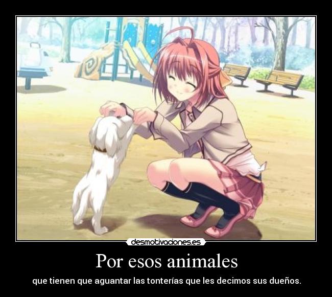 Por esos animales - que tienen que aguantar las tonterías que les decimos sus dueños.