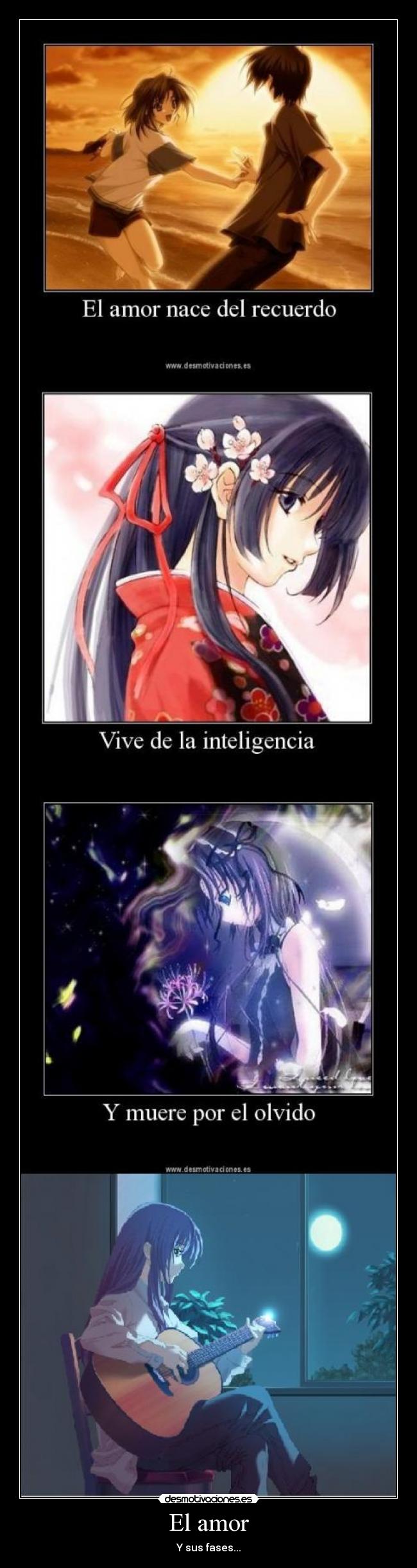 El amor - Y sus fases...