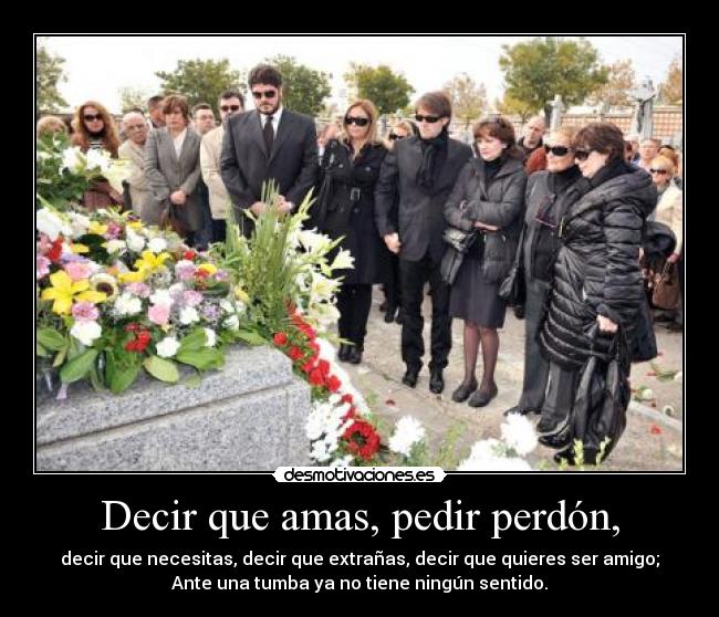 Decir que amas, pedir perdón, -