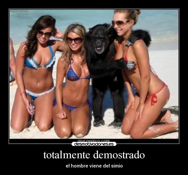 carteles hombre desmotivaciones