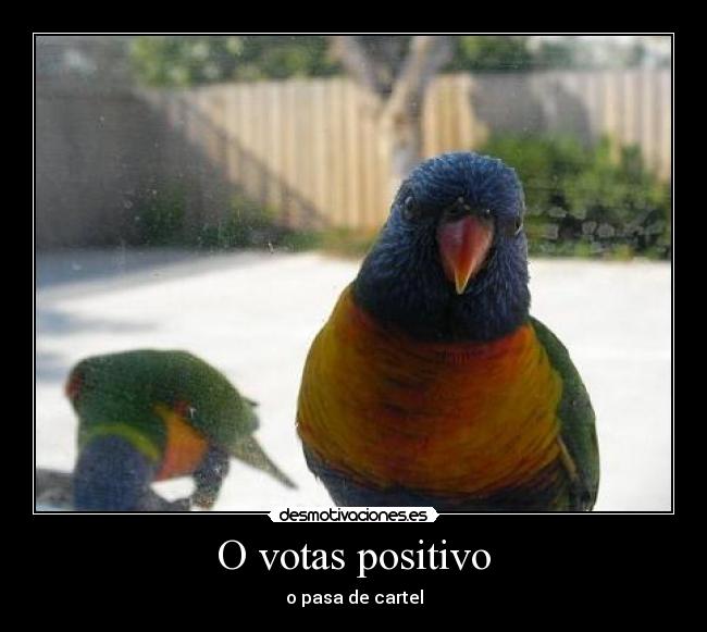 O votas positivo - 