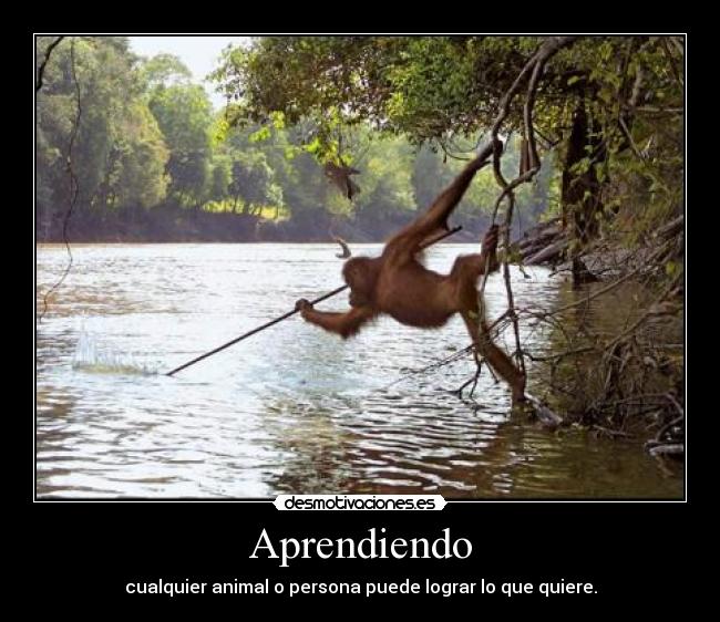 Aprendiendo -