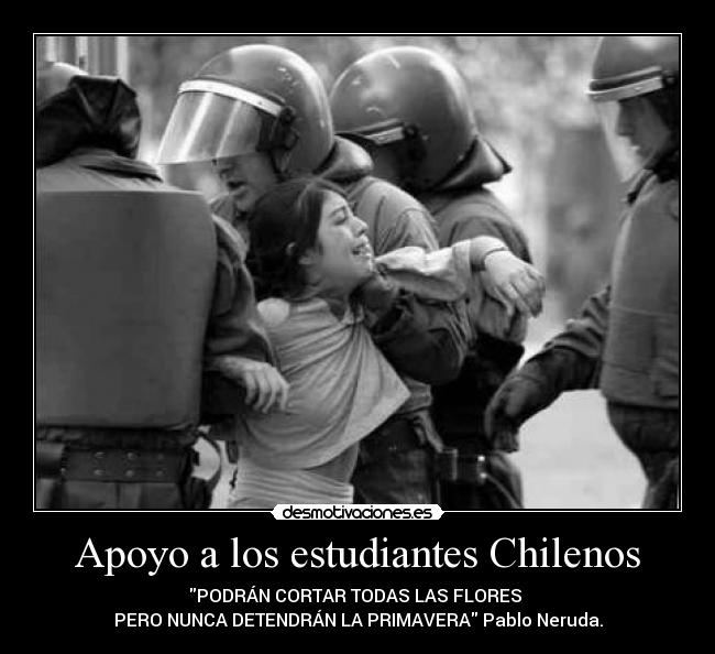 carteles educacion politica desmotivaciones