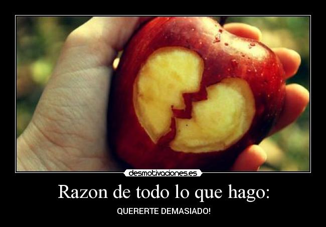 Razon de todo lo que hago: - 