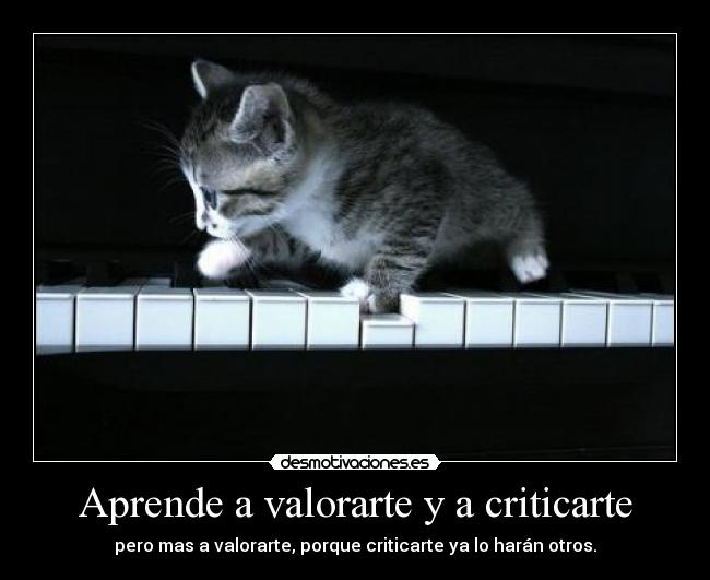 Aprende a valorarte y a criticarte - pero mas a valorarte, porque criticarte ya lo harán otros.