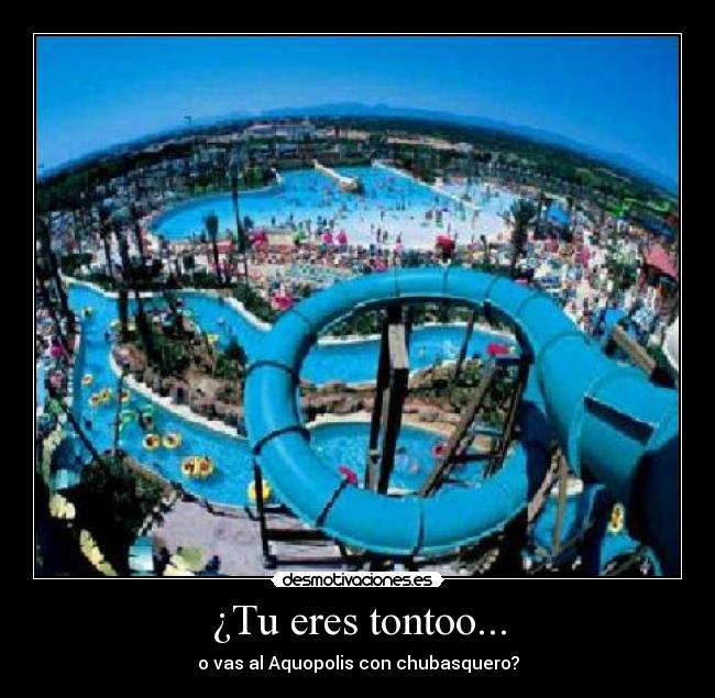 ¿Tu eres tontoo... - 