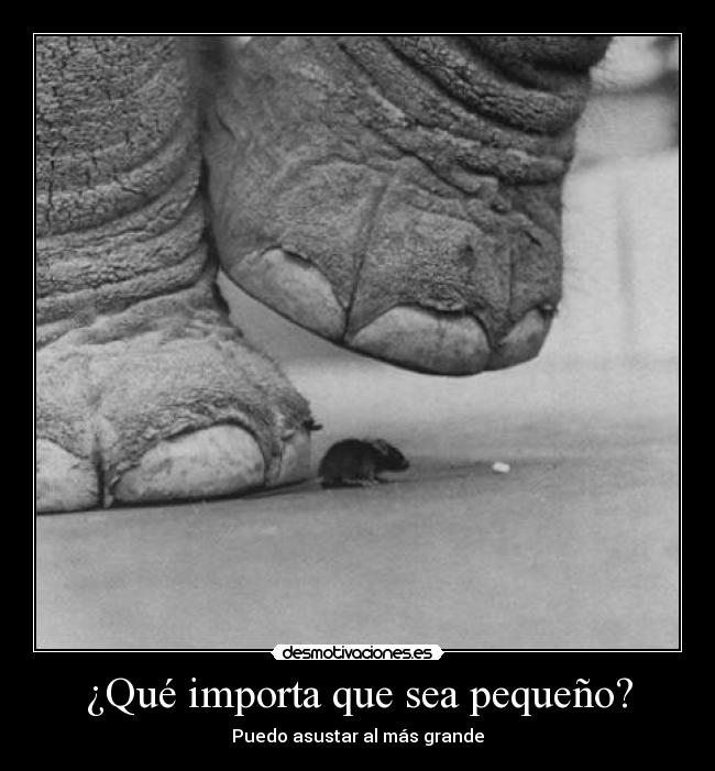 ¿Qué importa que sea pequeño? -