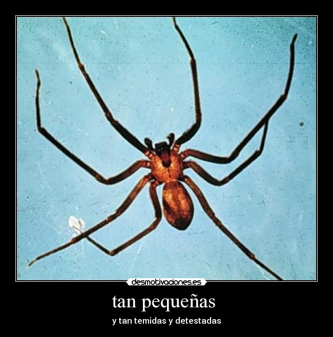 tan pequeñas - y tan temidas y detestadas