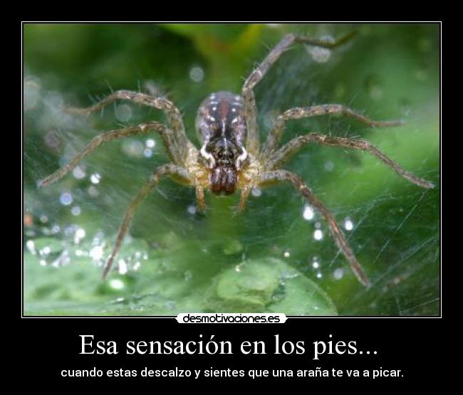 Esa sensación en los pies...  - 