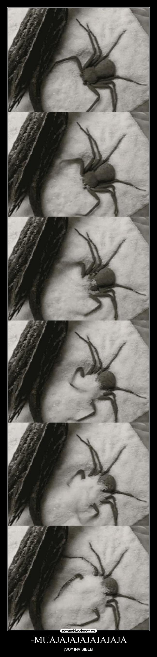 -MUAJAJAJAJAJAJAJA - ¡SOY INVISIBLE!