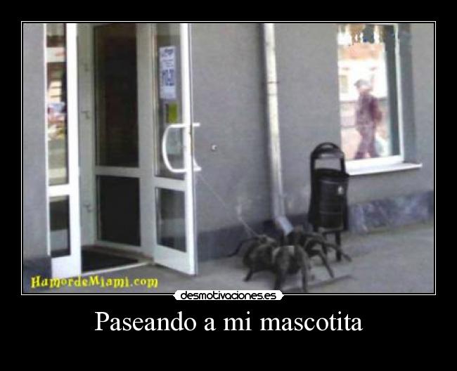 Paseando a mi mascotita -