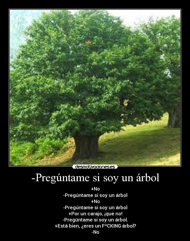 carteles tavito desmotivaciones