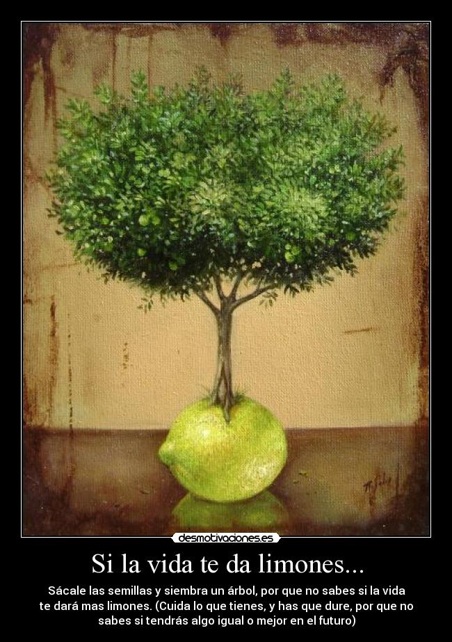 Si la vida te da limones... - Sácale las semillas y siembra un árbol, por que no sabes si la vida
te dará mas limones. (Cuida lo que tienes, y has que dure, por que no
sabes si tendrás algo igual o mejor en el futuro)